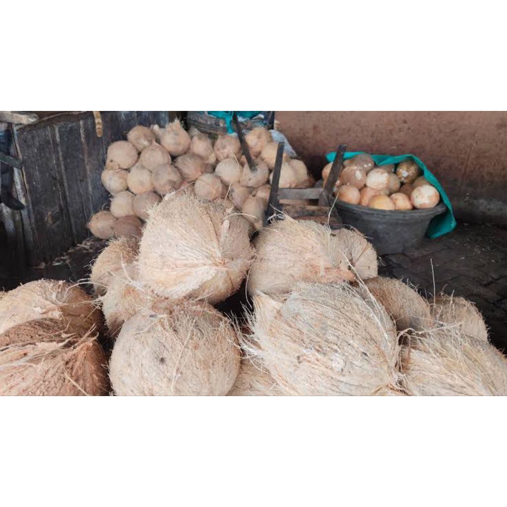 

Kelapa Kupas