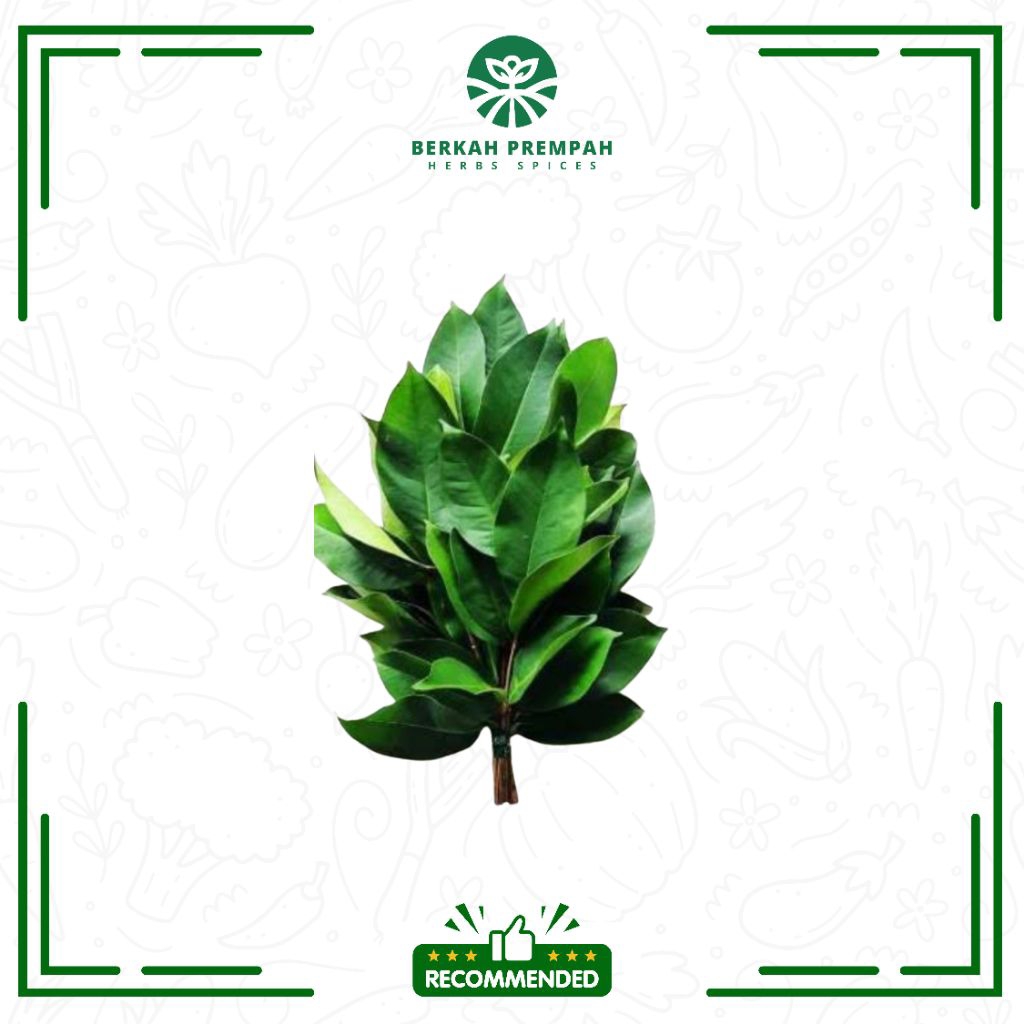 

Daun salam segar 1ikat - Berkahprempah