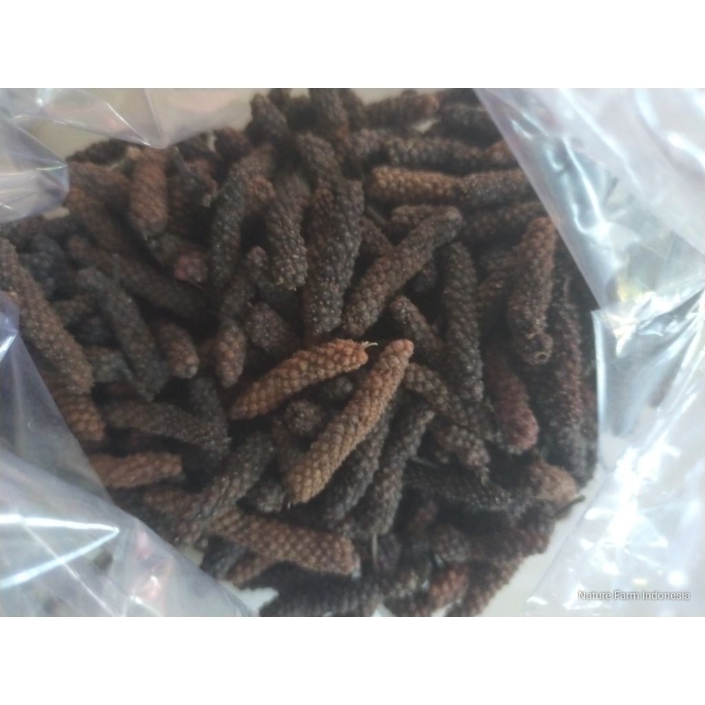 

Cabe Jamu / Cabe Jawa / Cabe Puyang Kering 100gr