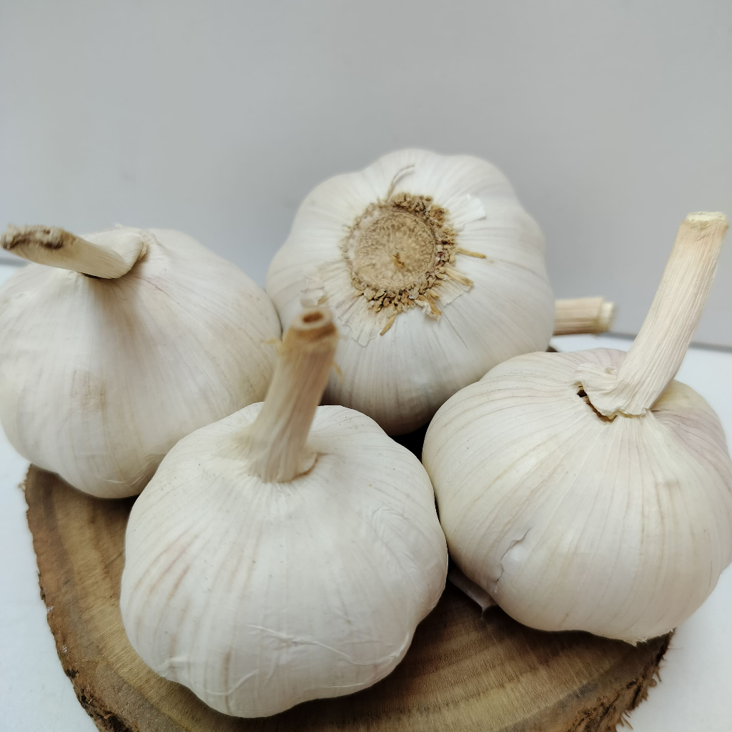 

Cahayadstore Bawang Putih Biasa Fresh Garlic Bawang Putih Bersih Super