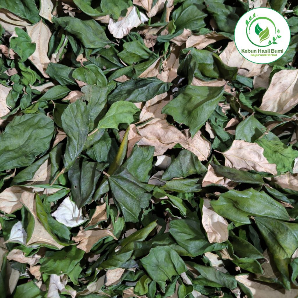 

Daun Bidara Kering – Ruqyah, Obat Herbal Alami – 100% Asli