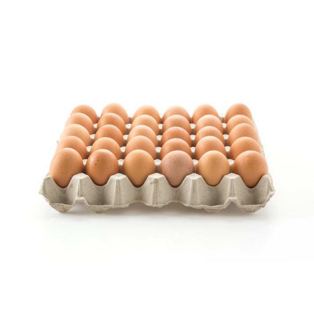 

Telur Ras Besar 250 Gram