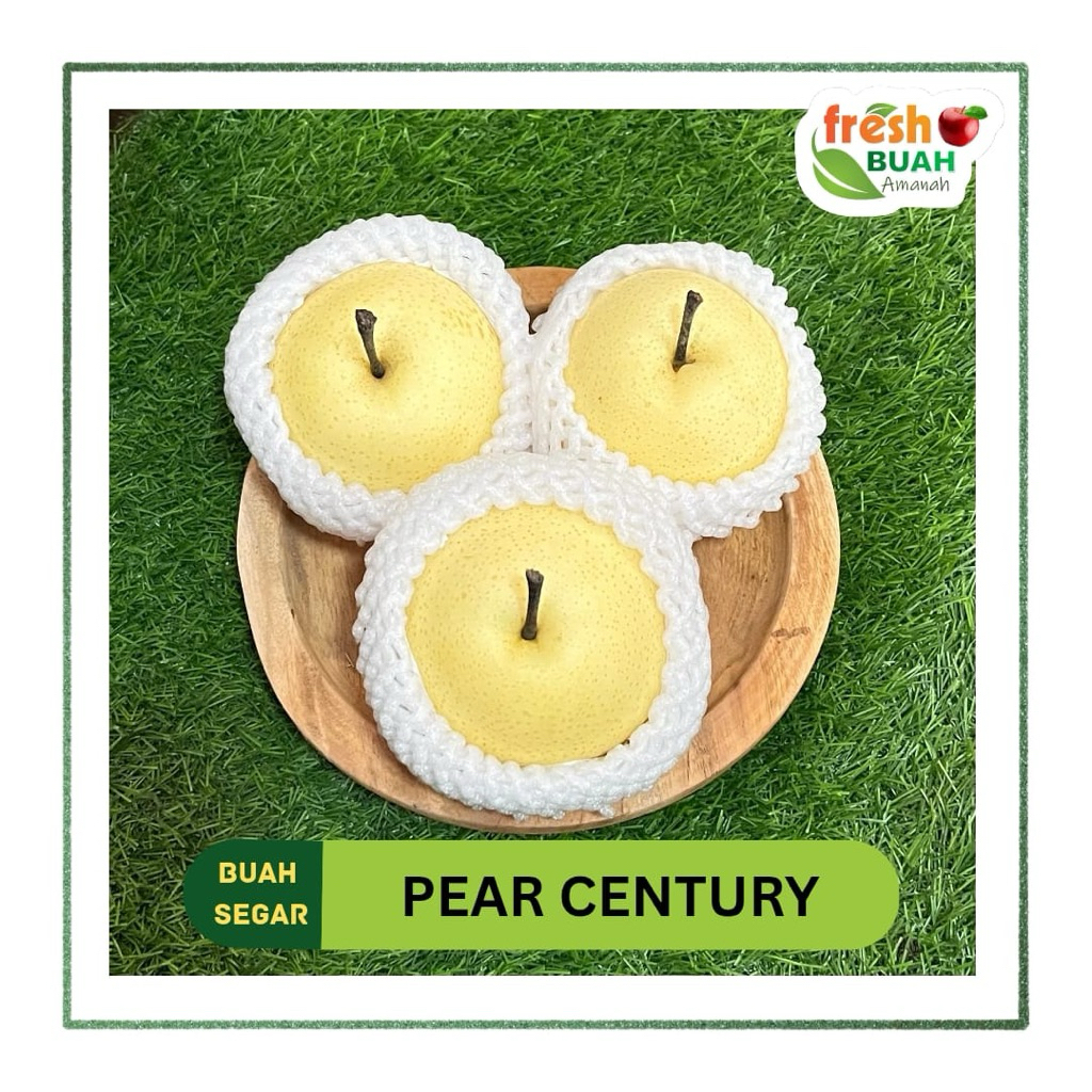 

Pear Pir Century 1 kg | Buah | Fresh Buah Amanah