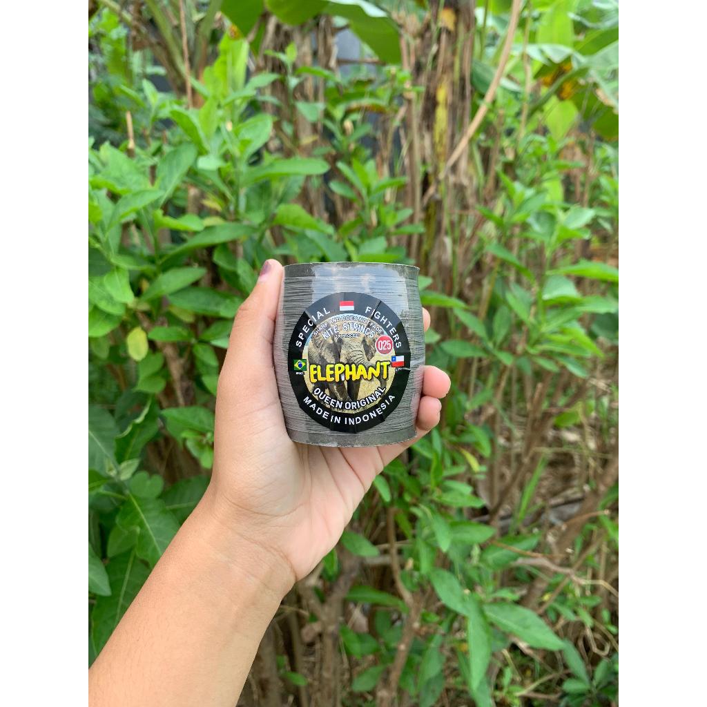 Senar Gelasan Elephant - Senar Layangan Elephant - Senar Layangan Gelasan Murah - Senar Gelasan Supe