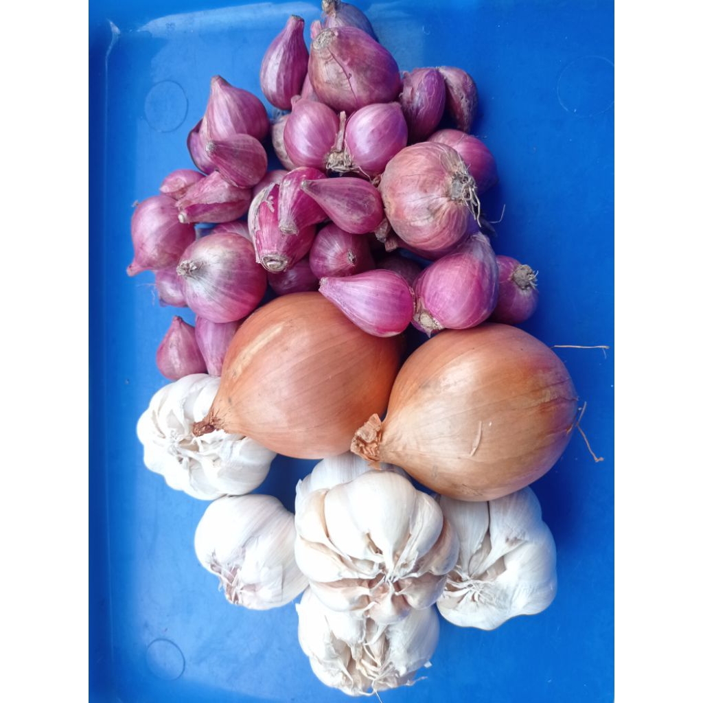 

Paket Bawang komplit 1(Bawang merah-bawang putih-bombay)