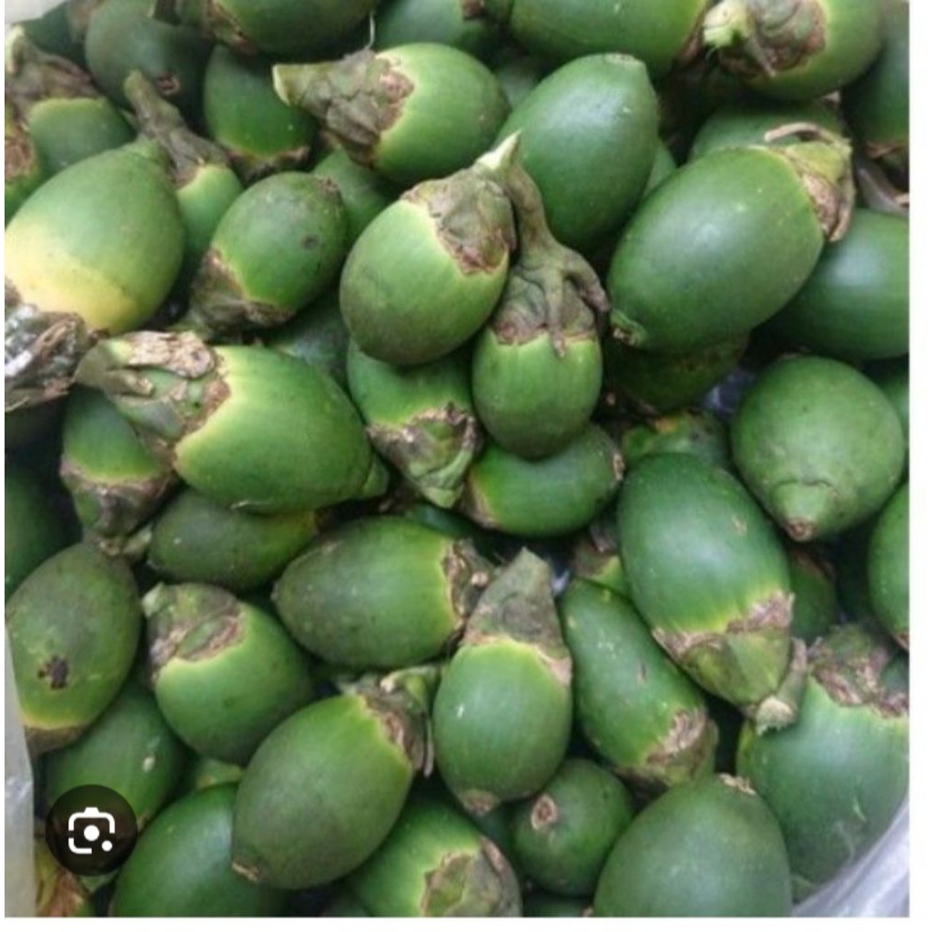 

buah pinang muda segar 1 kg