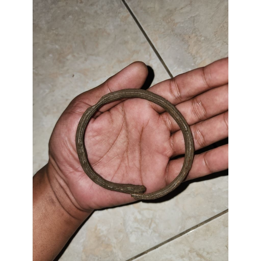 barang kuno antik gelang unik logamwsi peninggalan mbah
