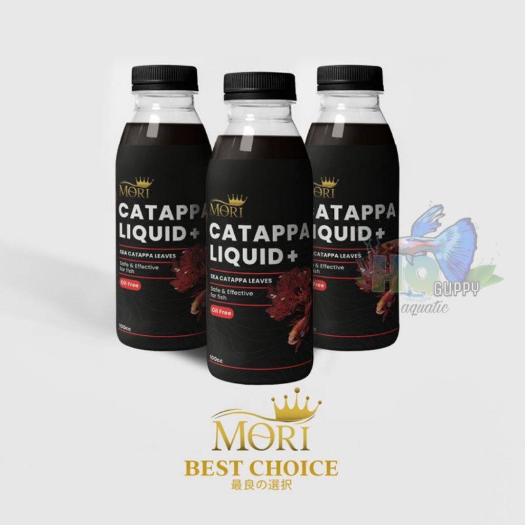 mori ketapang liquid 100cc ekstrak ketapang bebas minyak