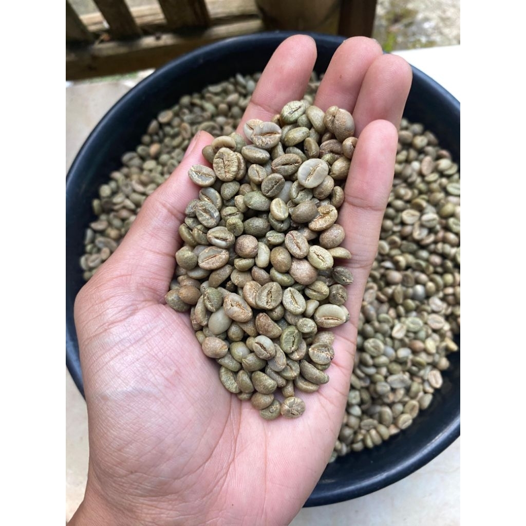 

Green bean / biji kopi robusta grade 1