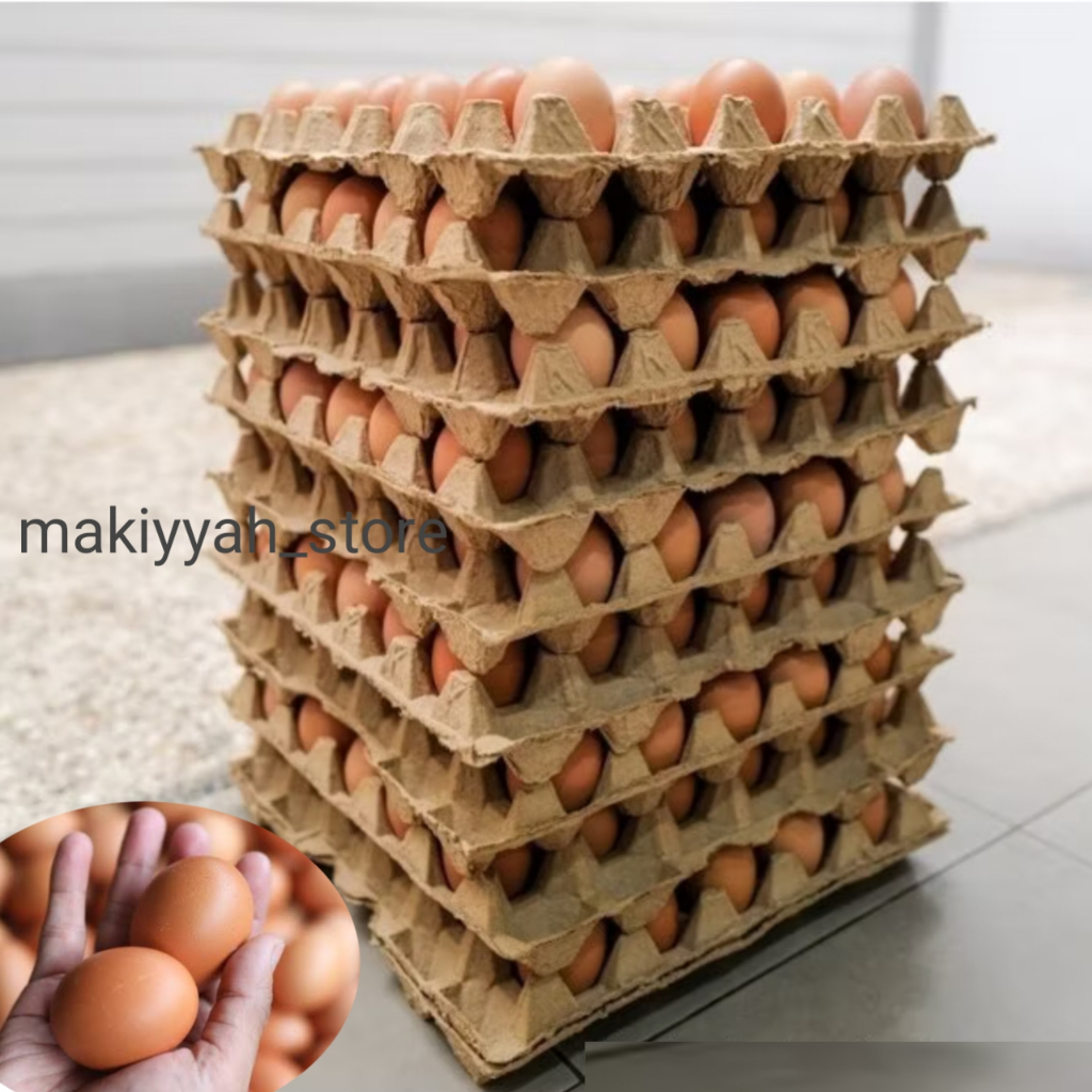 

TELUR AYAM NEGRI 15KG FRESH LANGSUNG DARI FARM/kandang bersih dan higienis