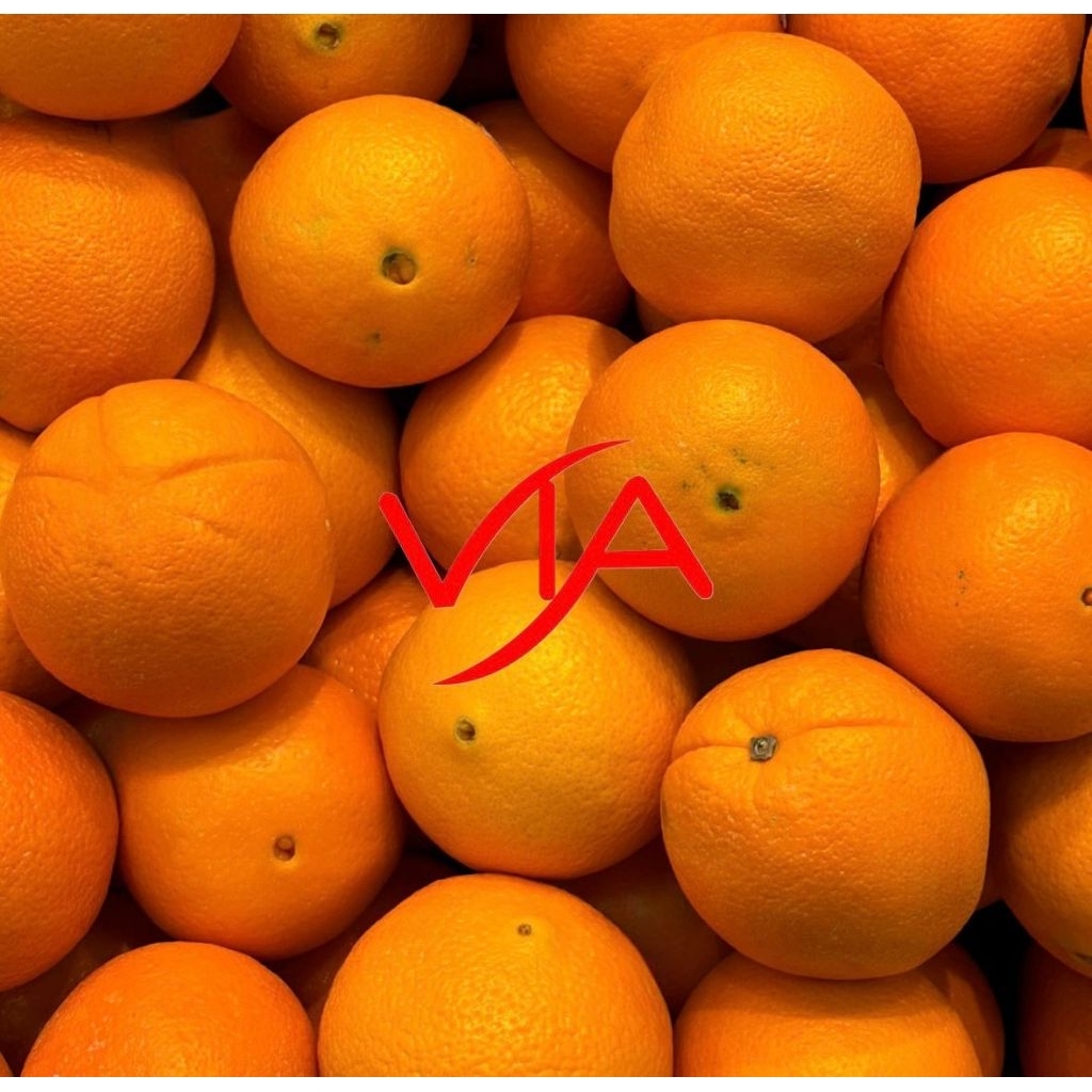 

Sunkist Navel 1 Kg isi 4-5 pcs