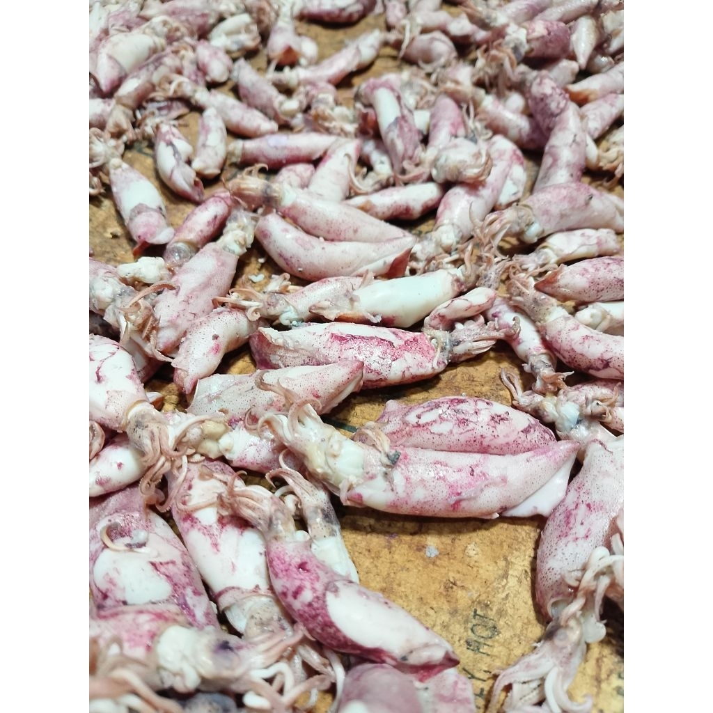 

ikan asin cumi jarum