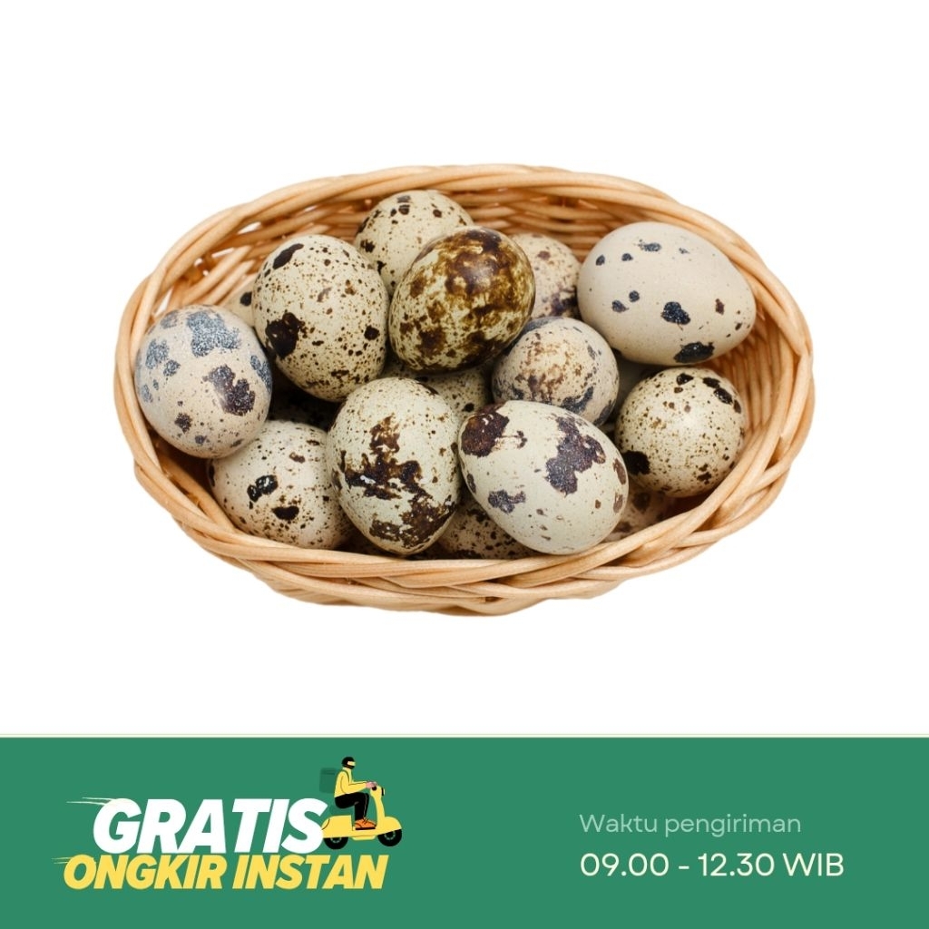 

Telur Puyuh Segar
