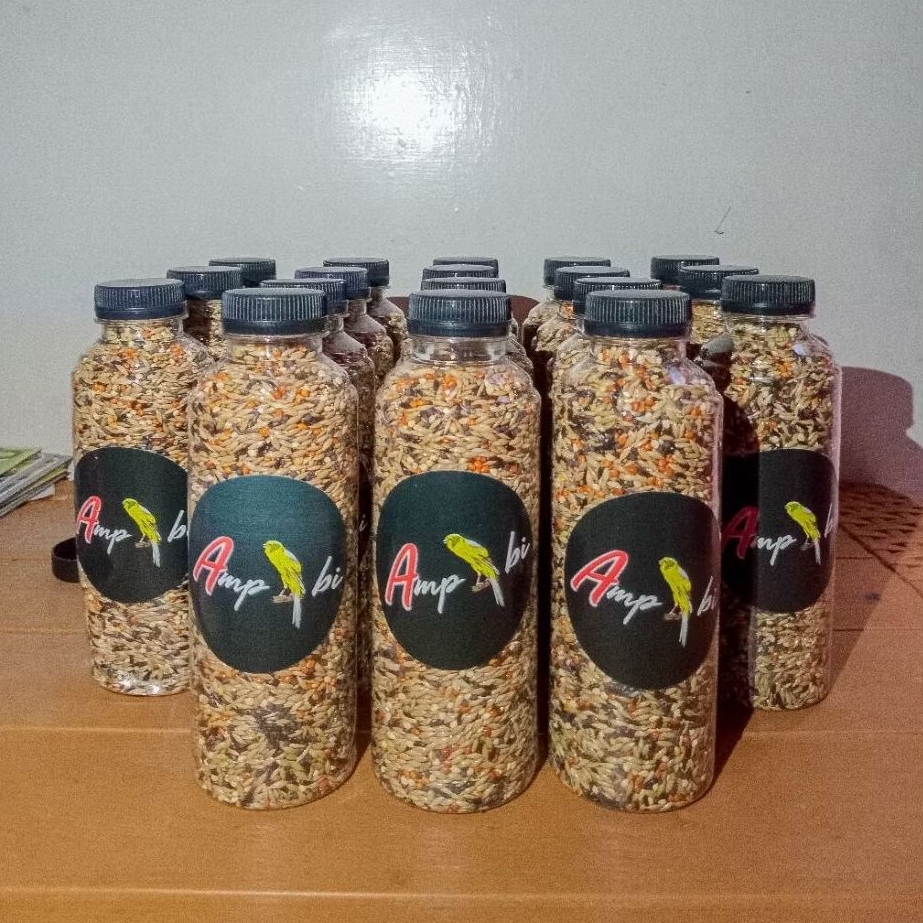 KHUSUS SETINGAN TINGGI || PAKAN DONGKRAK KENARI AMPIBI