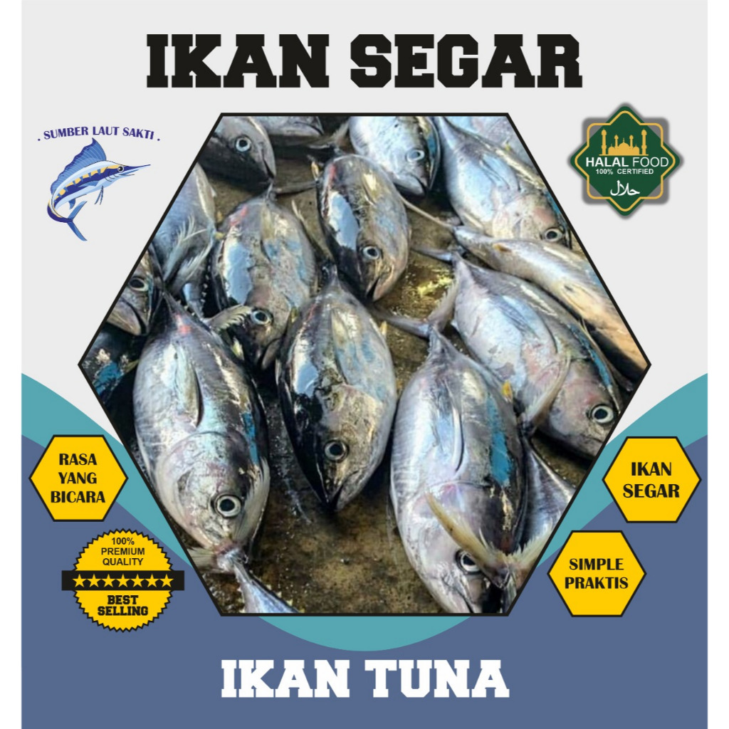 

Ikan Tuna Segar - Ikan Laut Fresh 1 Kg