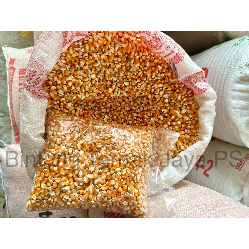

Jagung Bulat / Pipil (Repack) isi 1 kg