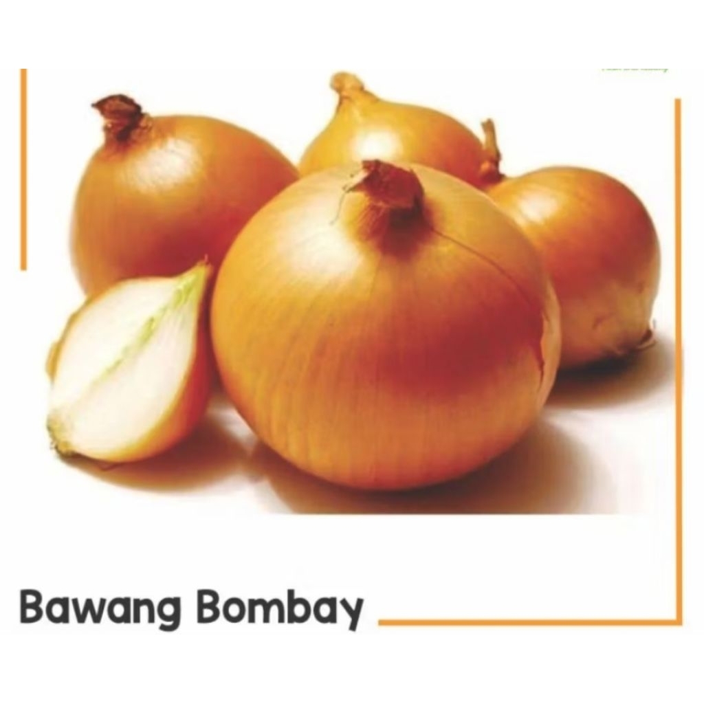 

Bawang Bombay 500 Gram