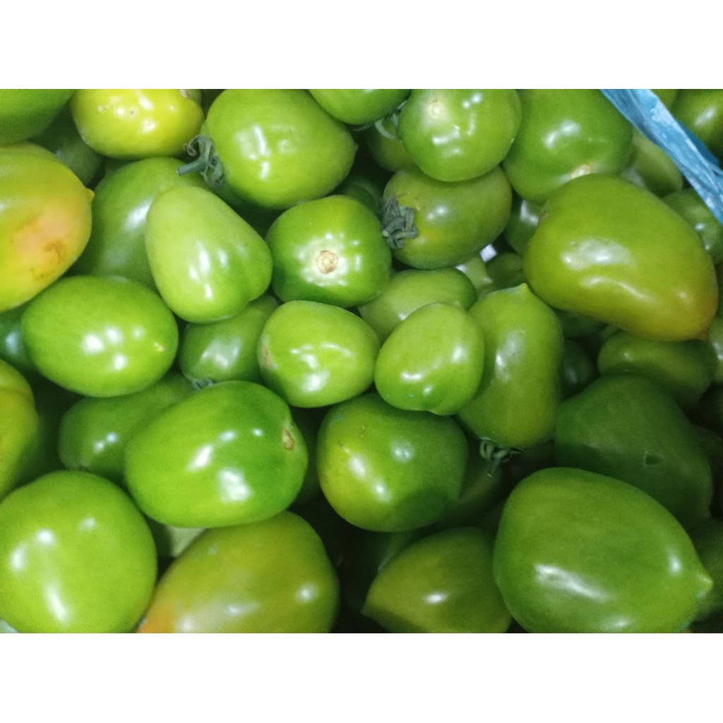 

Sayur TOMAT TOMATO HIJAU SEGAR