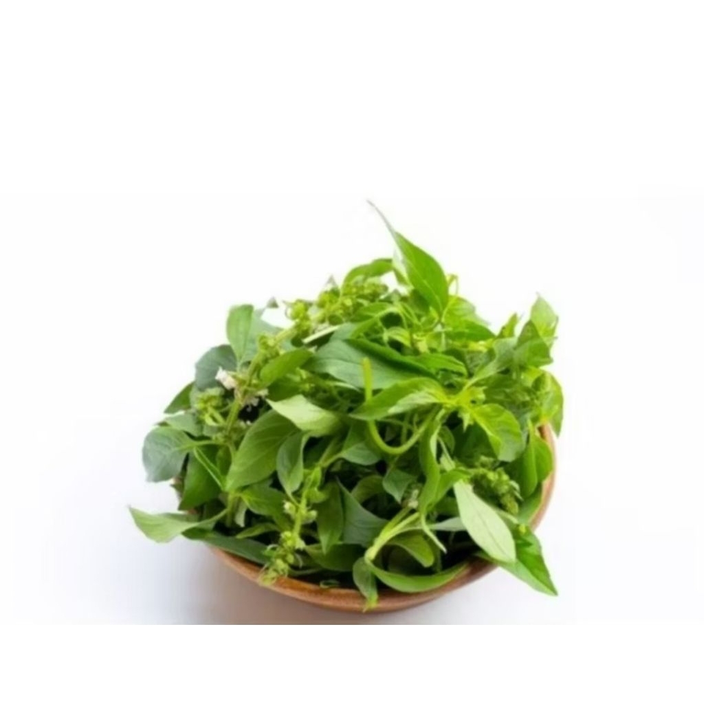 

Kemangi Fresh 150 gr