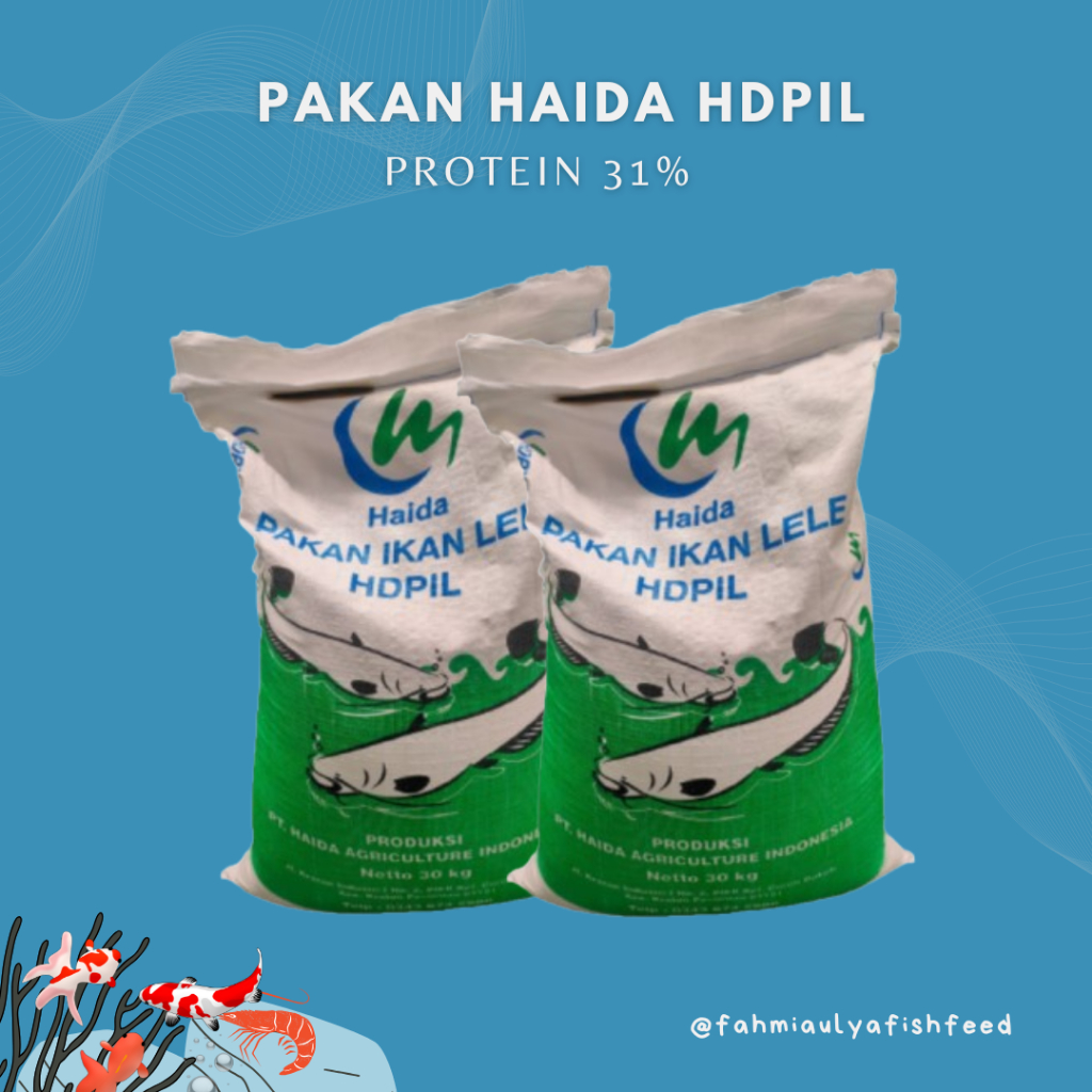 Pakan Ikan Lele HDPIL -2 Protein 31%