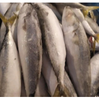 

Ikan Salam Fresh Medan Daily Market