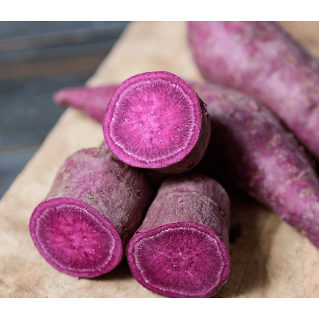 

Ubi Ungu | Purple Sweet Potato | Ubi Sehat Segar Alami | Ubi Diet | Ubi Obat