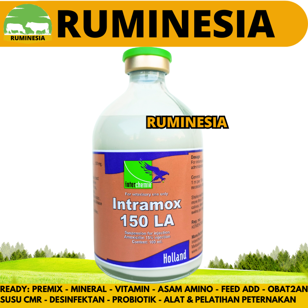 INTRAMOX 150 LA 100ML (ORANGE) - Obat Antibiotik Spektrum Luas Long Acting Hewan Sapi Babi - like Am