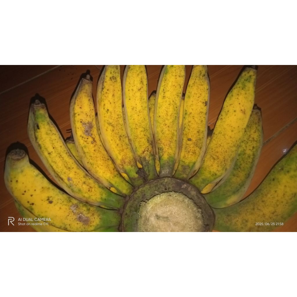 

pisang raja bulu asli sukabumi