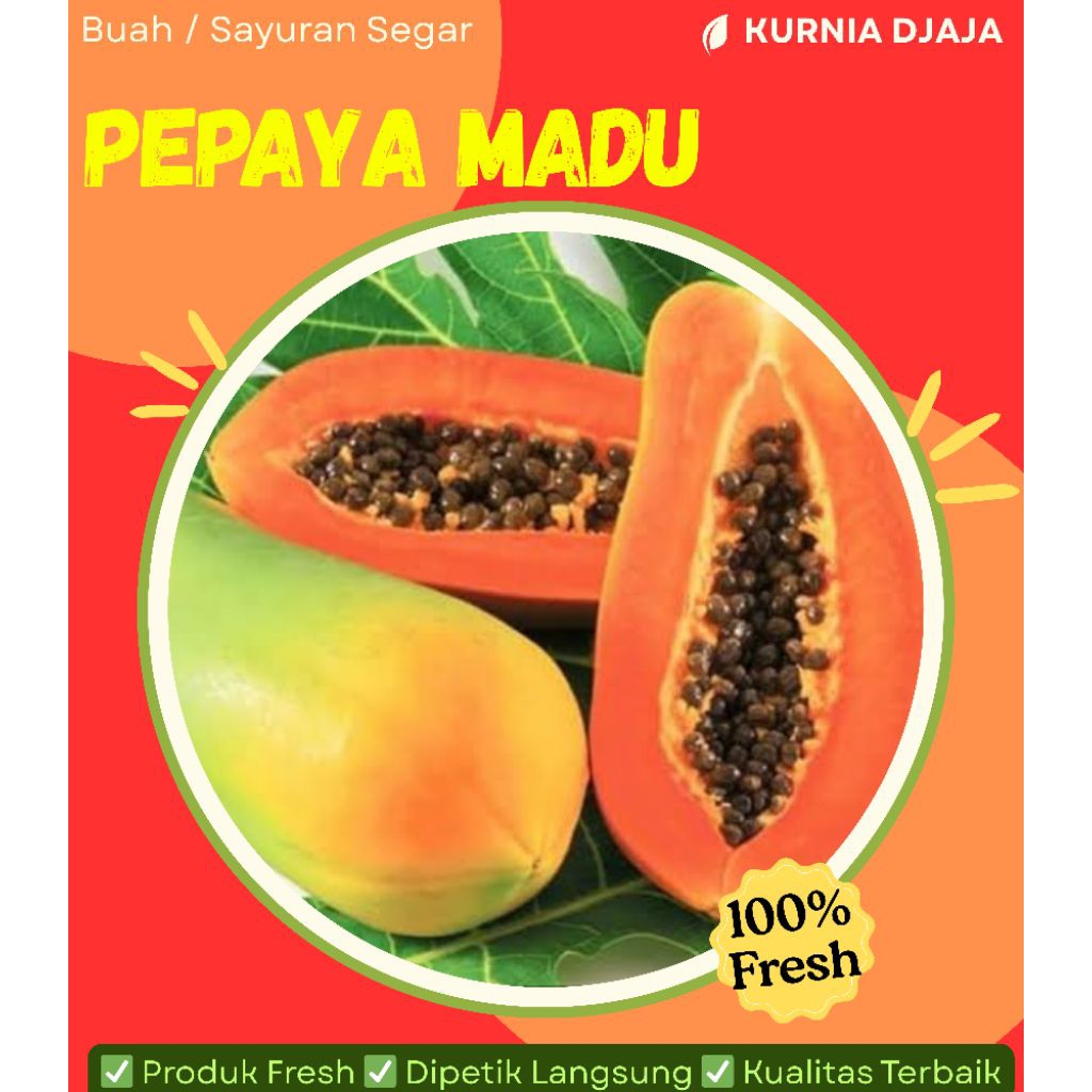 

Pepaya Madu California / harga per 1 buah
