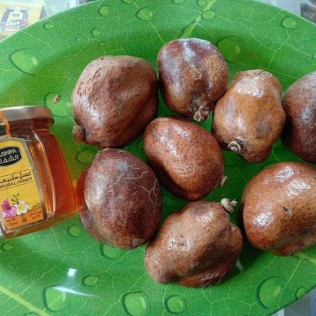 

BUAH ZURIAT MESIR