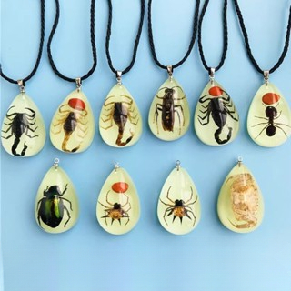 Kalung Resin Alami Liontin Serangga Asli Amber Unisex