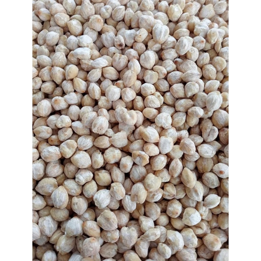 

[READY]Kemiri Bulat Utuh 250g|500g|1kg