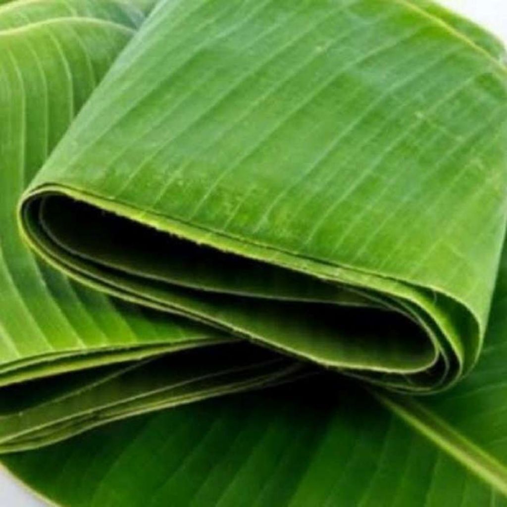 

Daun Pisang kepok (banana leaves)