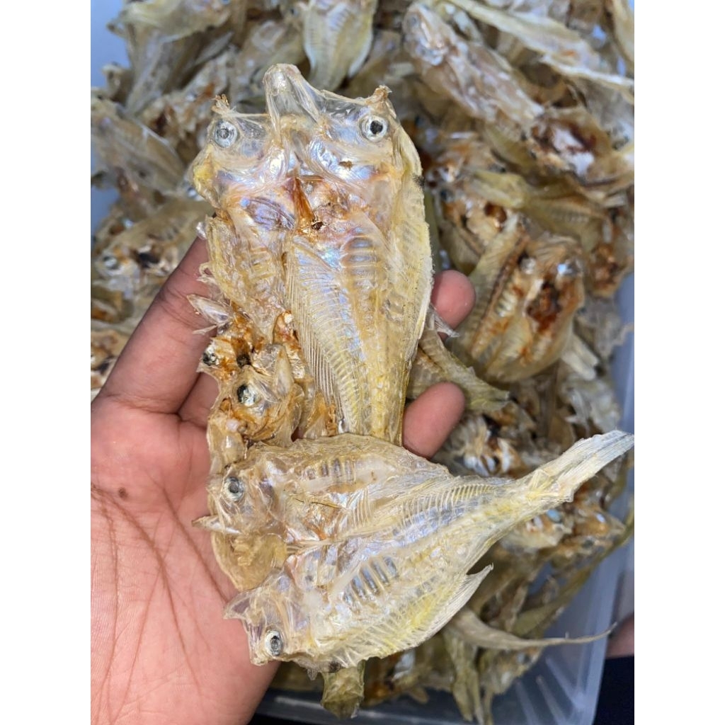 

IKAN ASIN PUTRI AYU JURAGAN