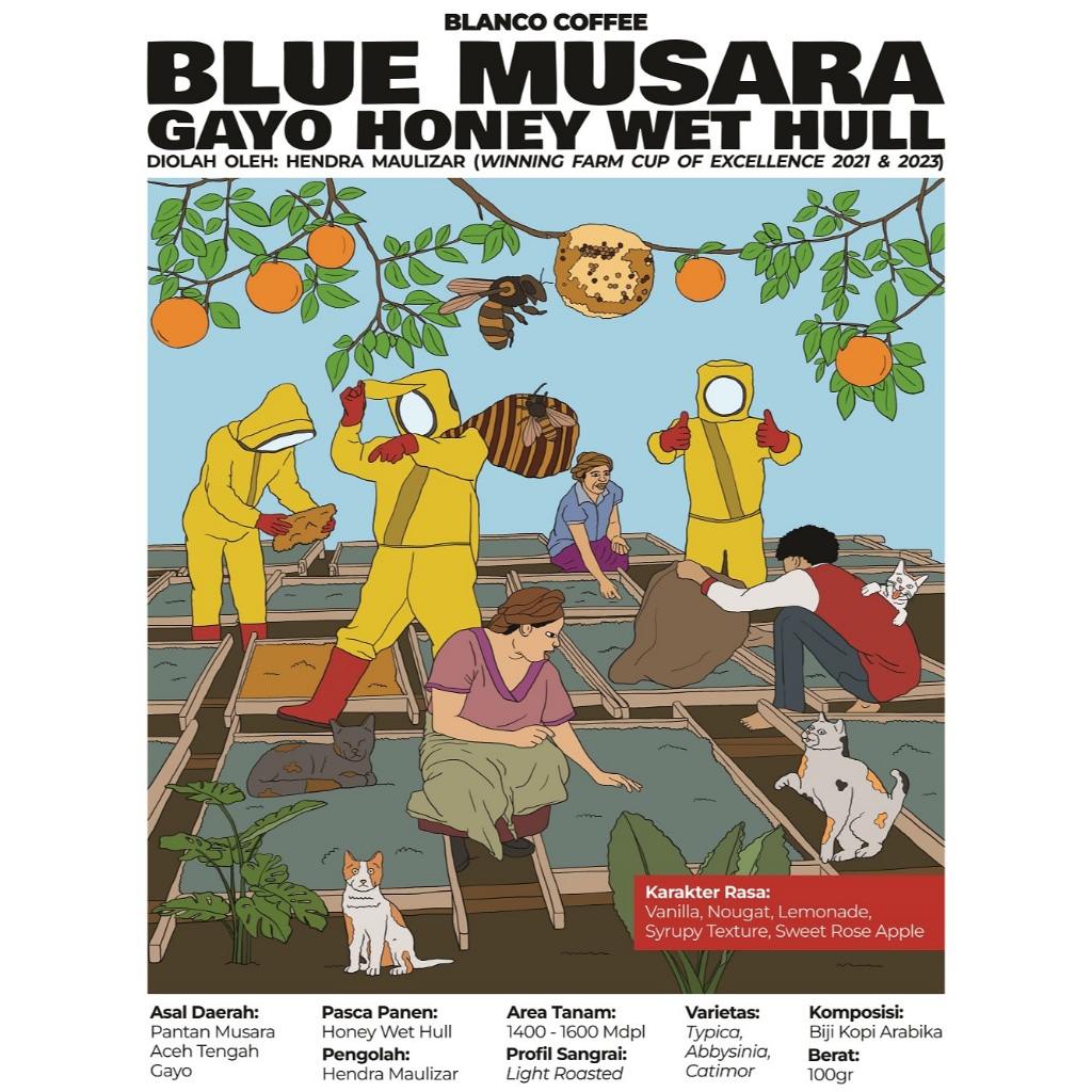 

Kopi Single Origin Gayo Pantan Musara Blue Musara 100GR - Filter Roast - Honey Wethull