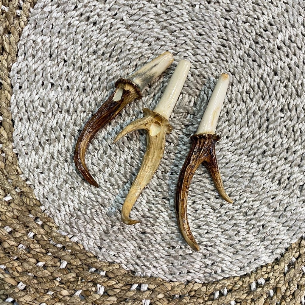 Pipa Rokok Tanduk Asli/Pipa Rokok Tanduk Fiber