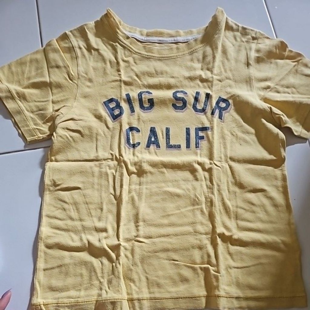 gingersnaps preloved