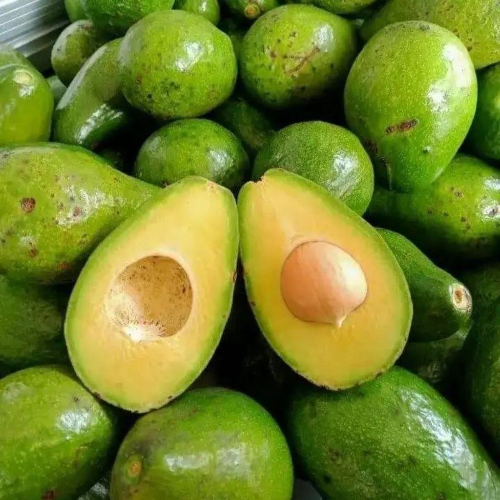 

Buah Alpukat mentega