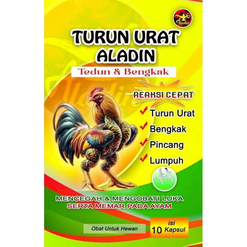 aladin turun urat untuk ayam laga