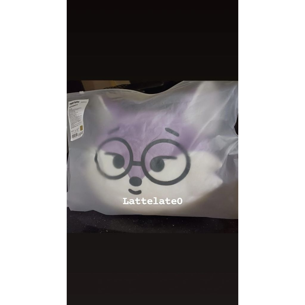 FOXDUNGEE CUSHION DOLL WONWOO SEVENTEEN