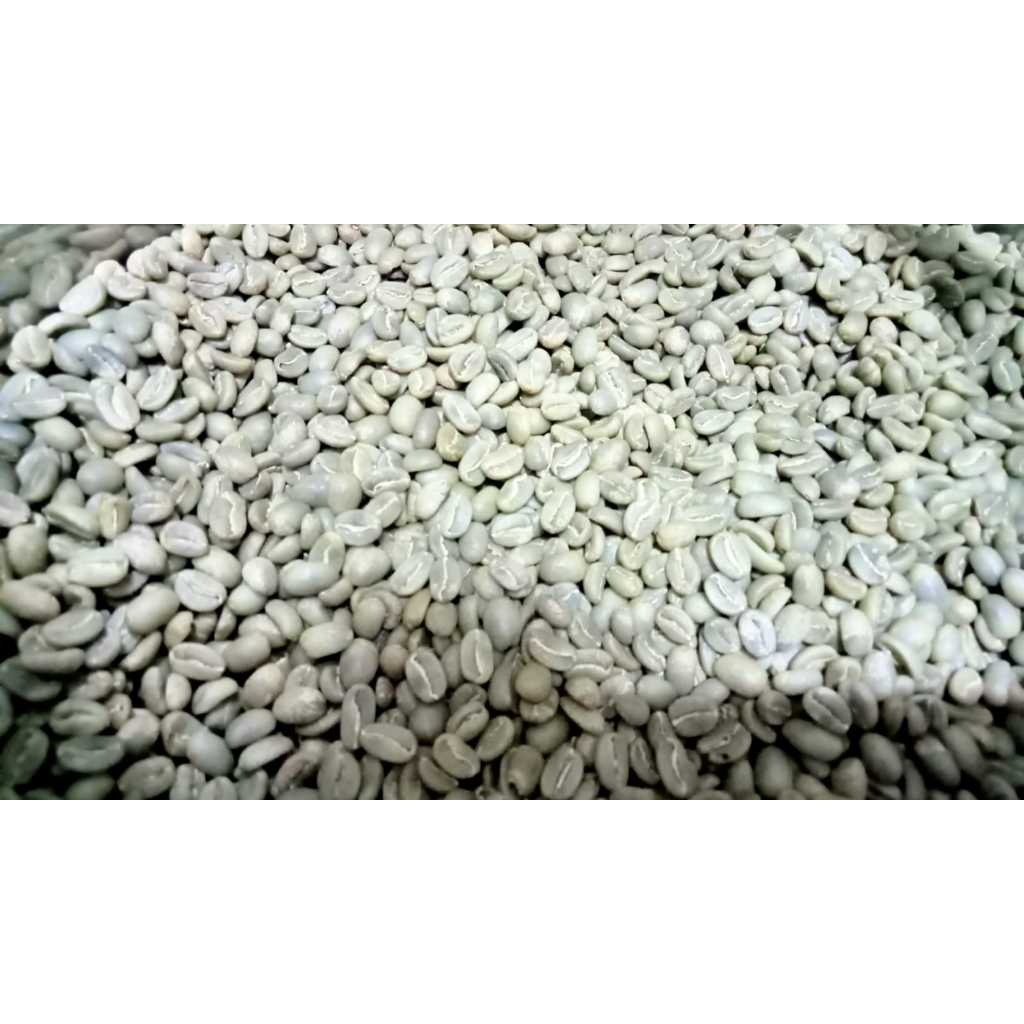 

Green Bean Arabica Palasari Fullwash G1 Kopi Arabika 100% 1Kg