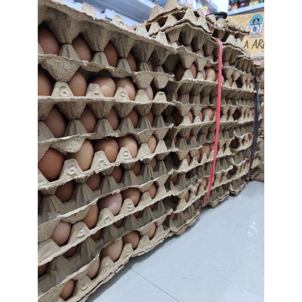 

TELUR AYAM NEGRI 1KG