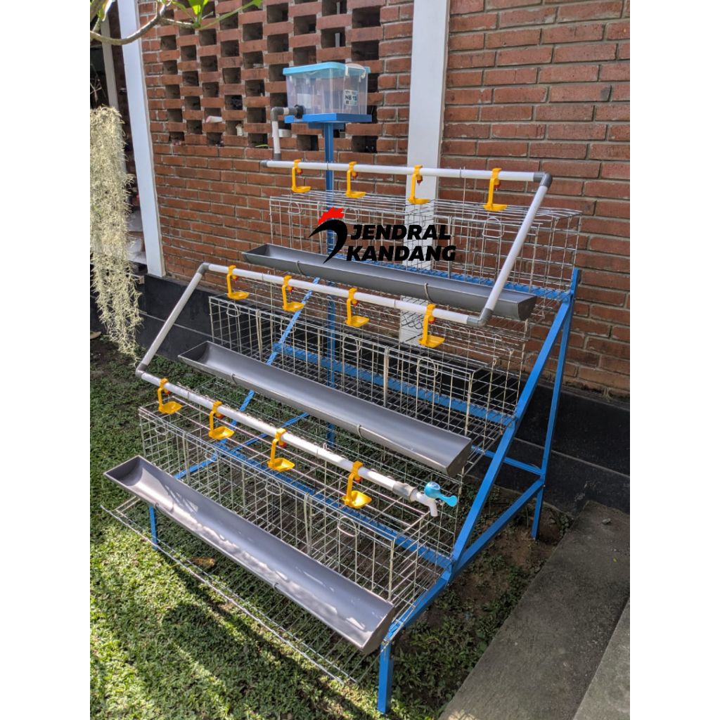kandang Ayam Petelur Full Set Kapasitas 24 Ekor