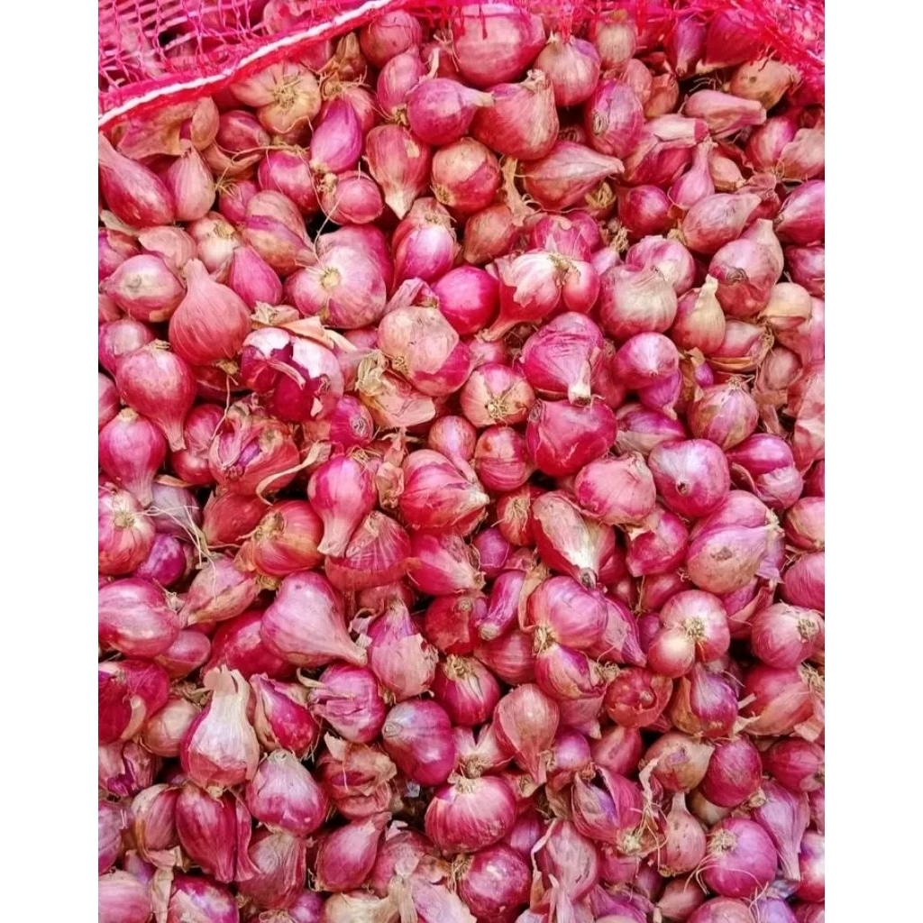 

Bawang merah super 1Kg
