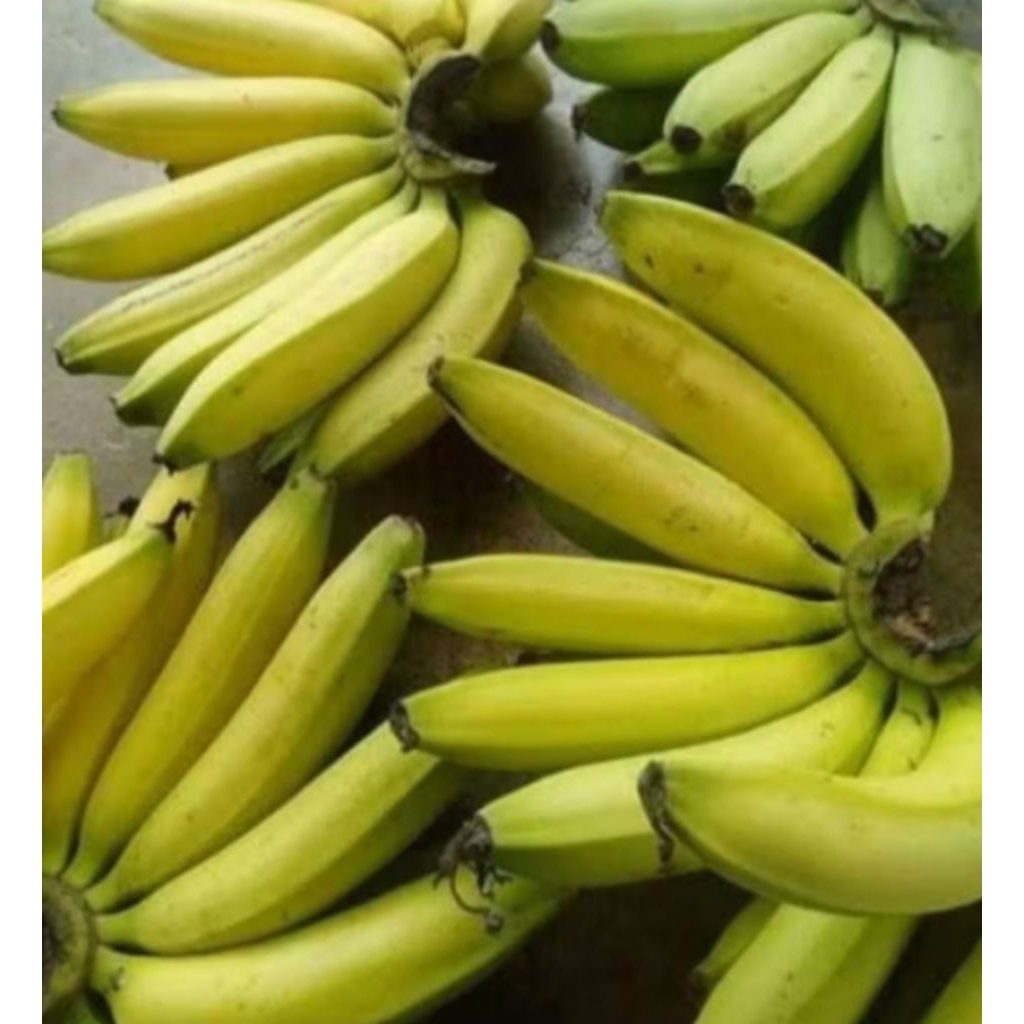 

Pisang Ambon Premium
