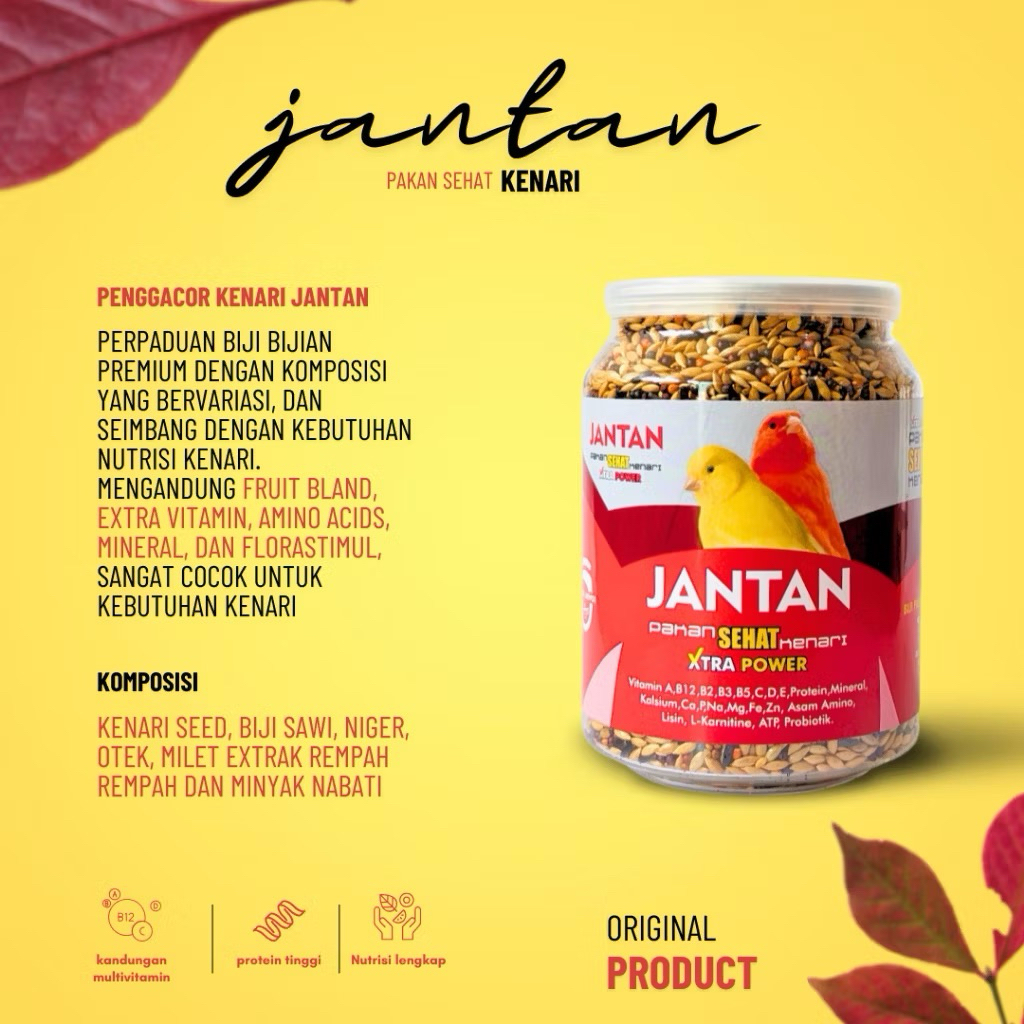 Pakan Burung Kenari JANTAN CAROLL Untuk Burung Kenari Jantan gacor ngerek ngisi