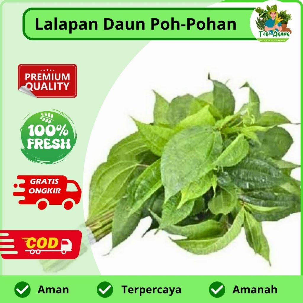 

Daun poh pohan lalapan per satu ikat murah-COD