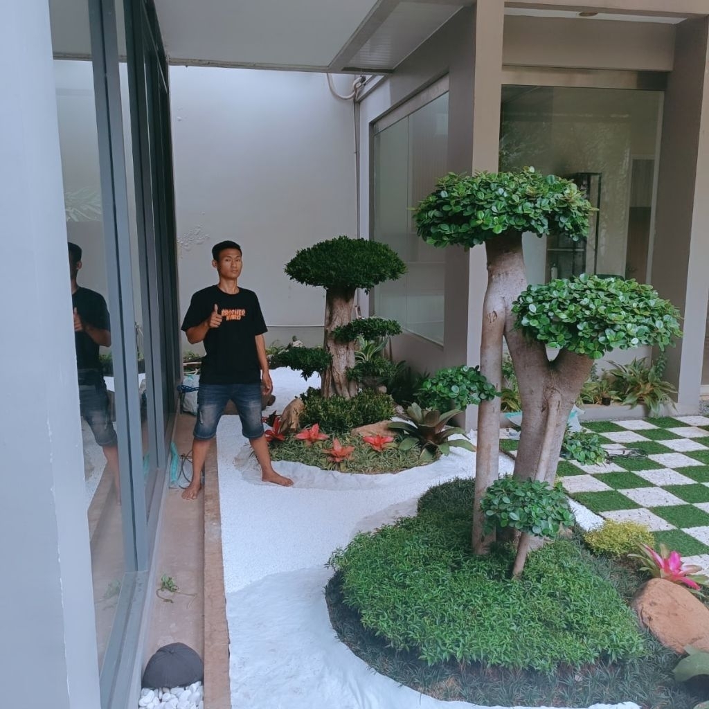 taman japanese indor/oudor bonsai beringin korea dan bonsai elegant