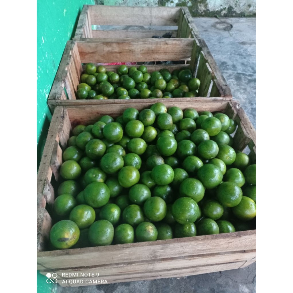 

jeruk peras matengan dalam orange