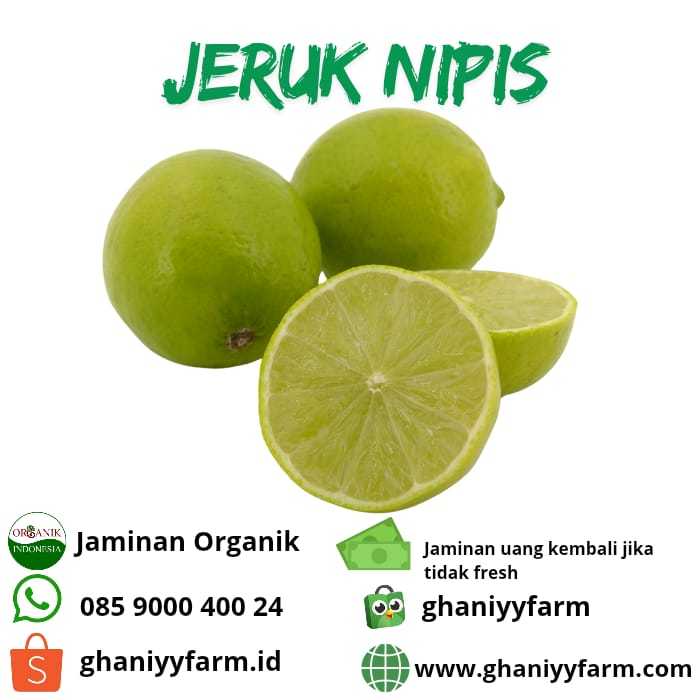 

Jeruk Nipis Organik 250Gram